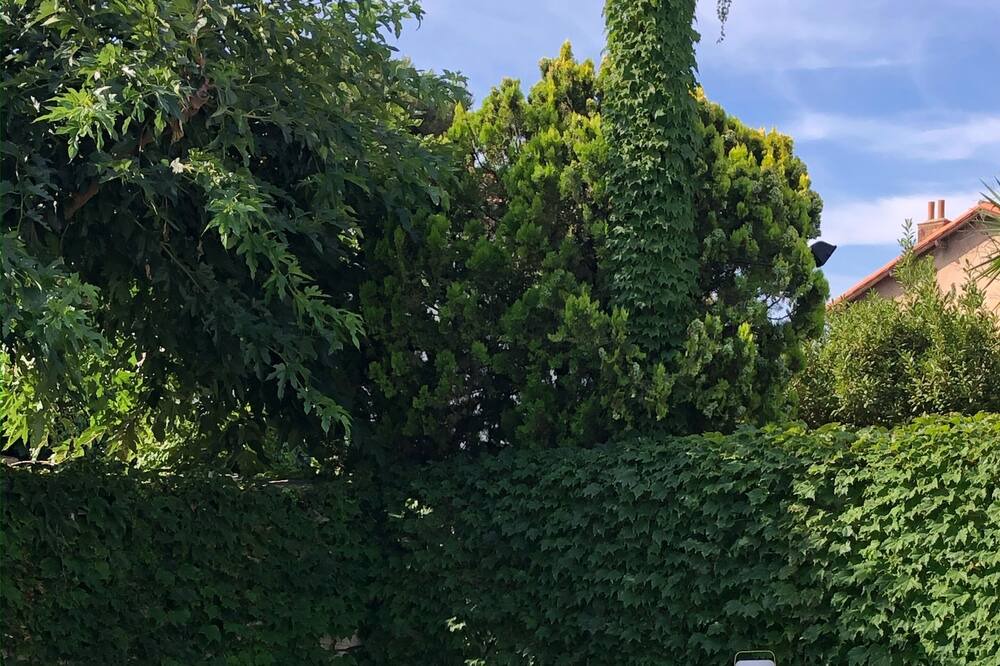 Photo of Outdoor in Sainte-Anne