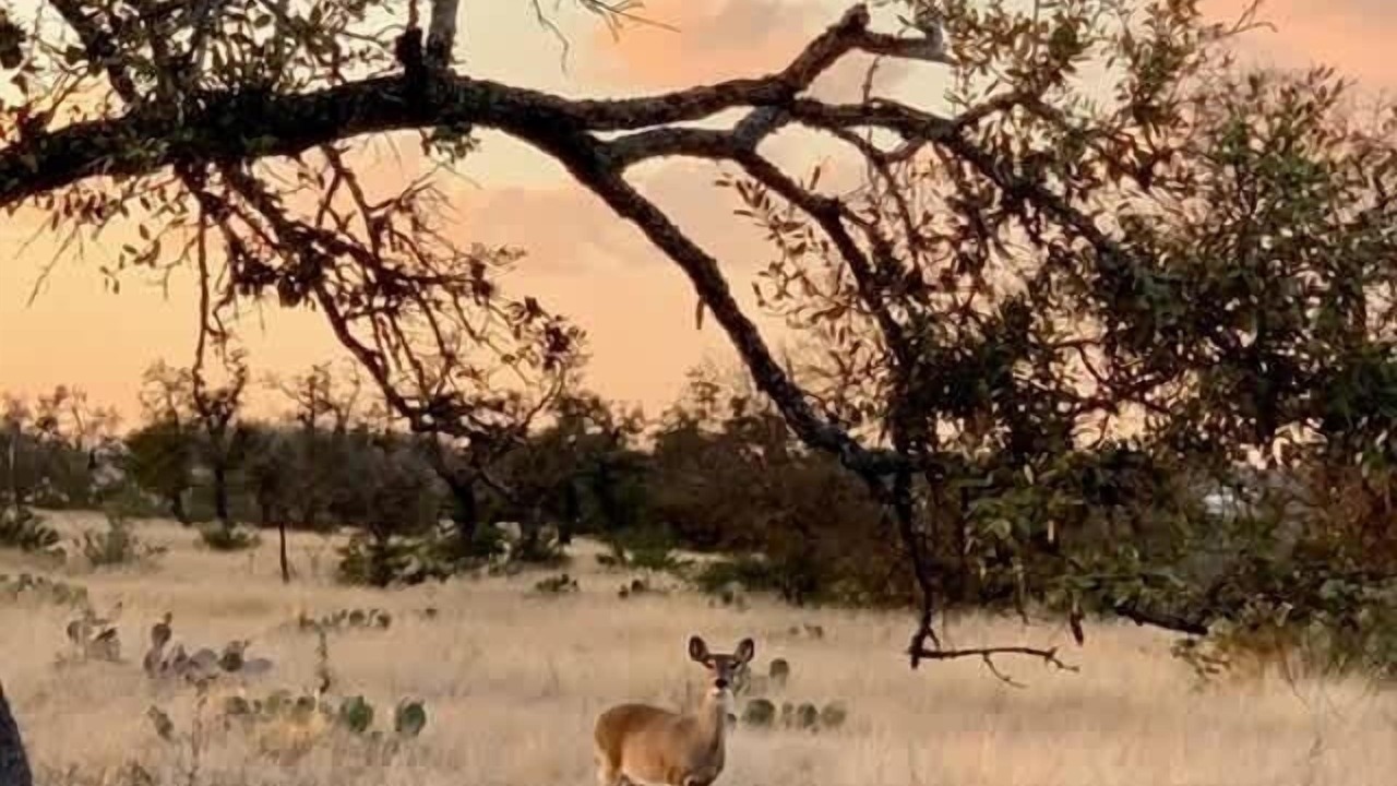 Photo of Others in Fredericksburg