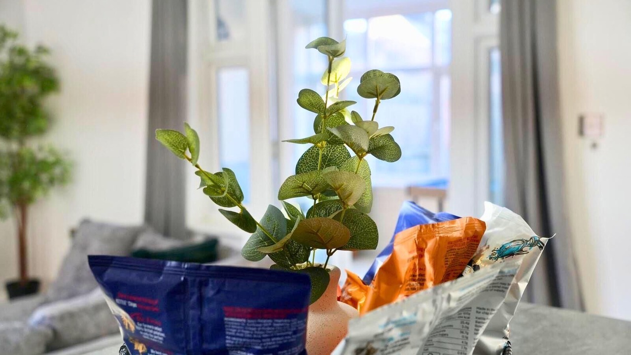 Photo of Others in Solihull