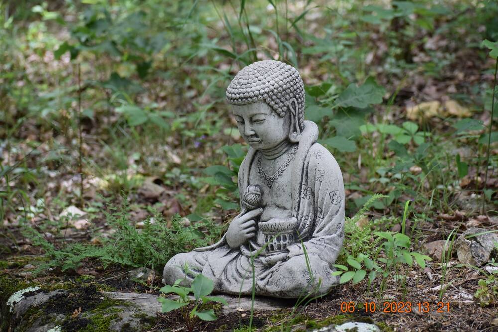 Photo of Outdoor in Huntsville