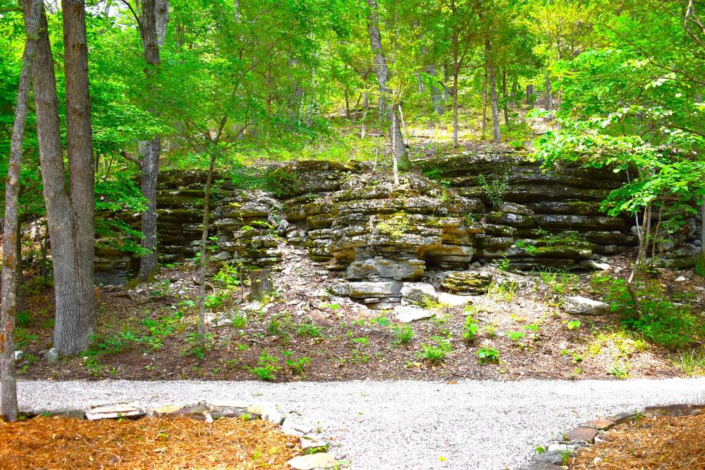 Photo of Outdoor in Huntsville