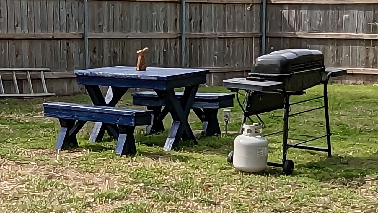 Photo of Outdoor in Duncanville