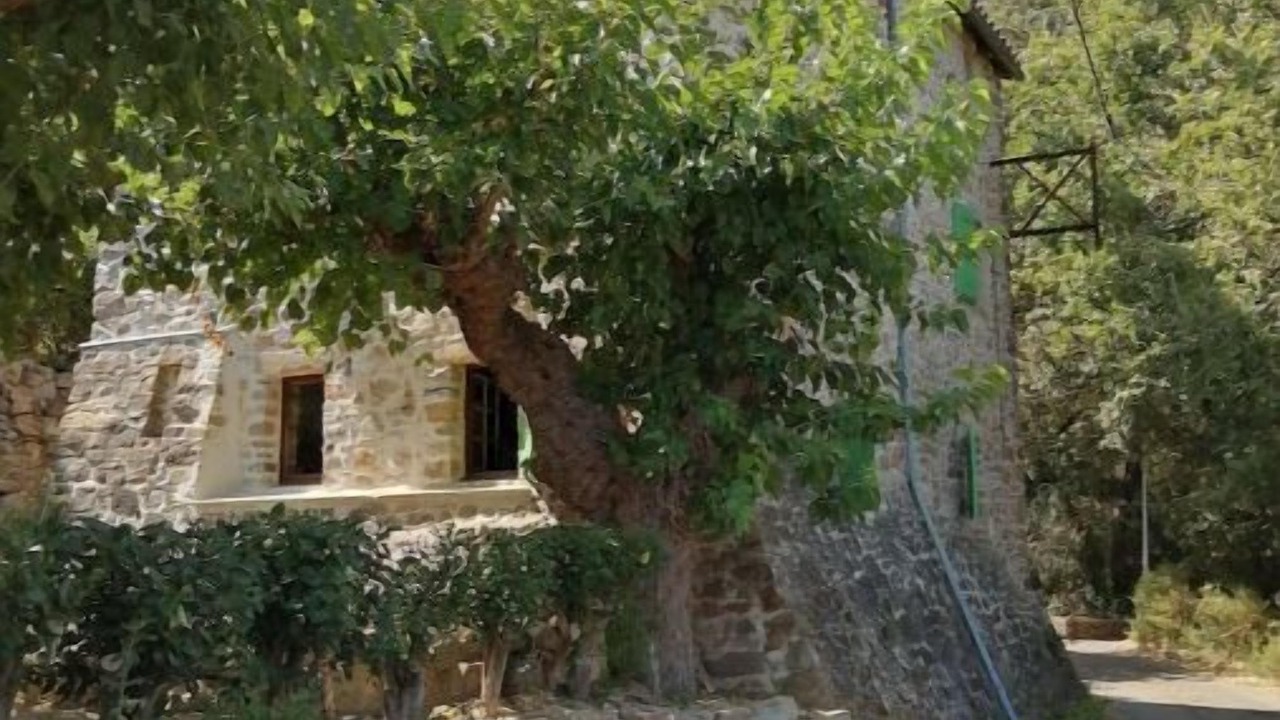 Photo of Others in Thoiras