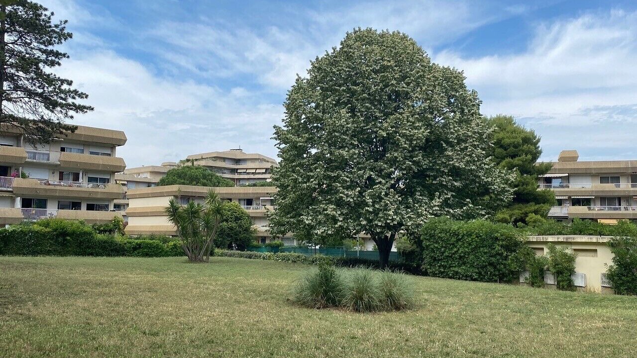 Photo of Buildings in Estanove