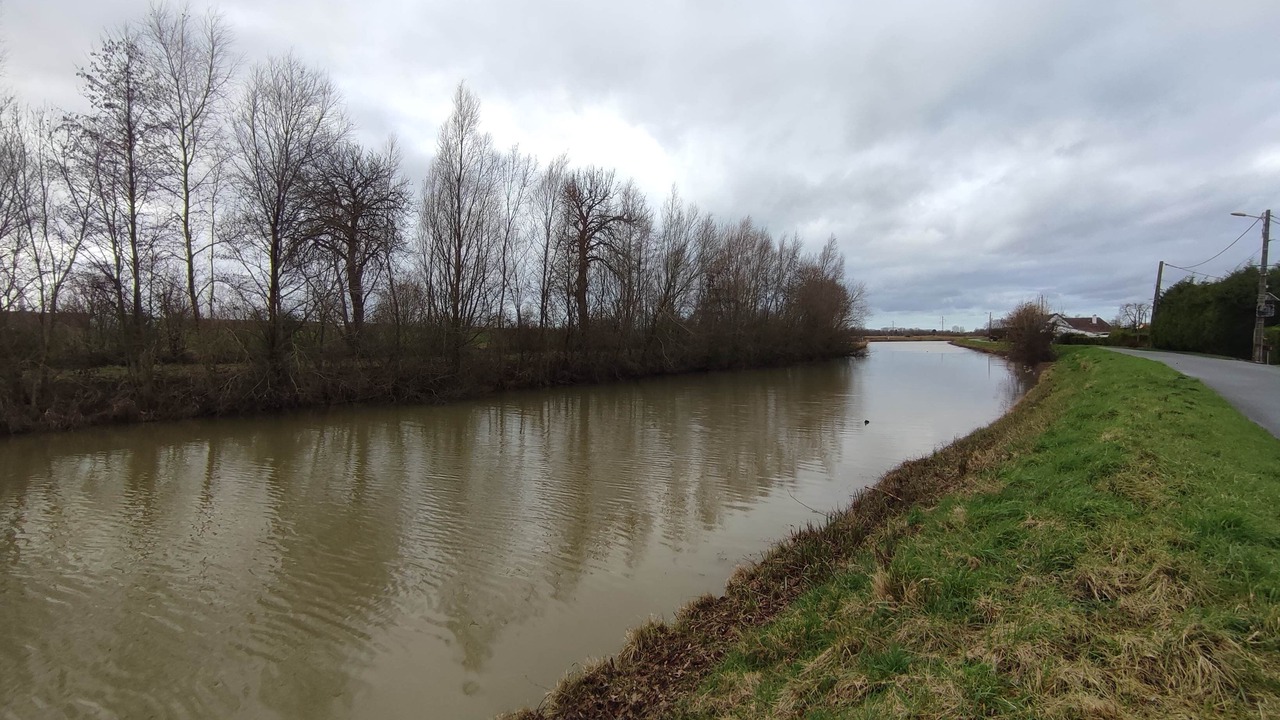 Photo of Others in Holque