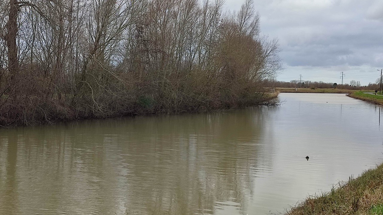 Photo of Others in Holque