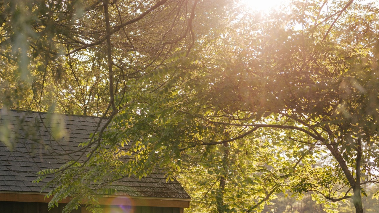 Photo of Bedroom in Cambridge