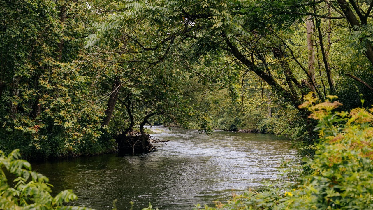 Photo of Bedroom in Cambridge