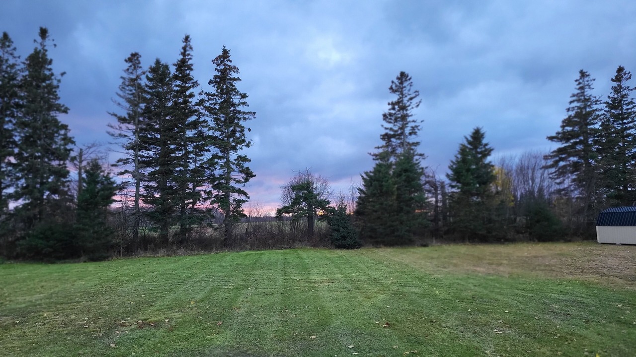 Photo of Others in Central Bedeque