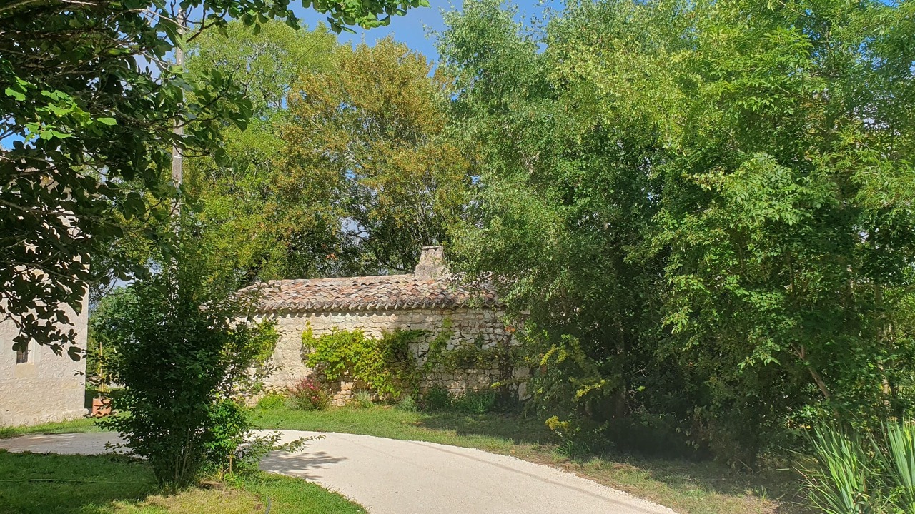 Photo of Outdoor in Sainte-Alauzie