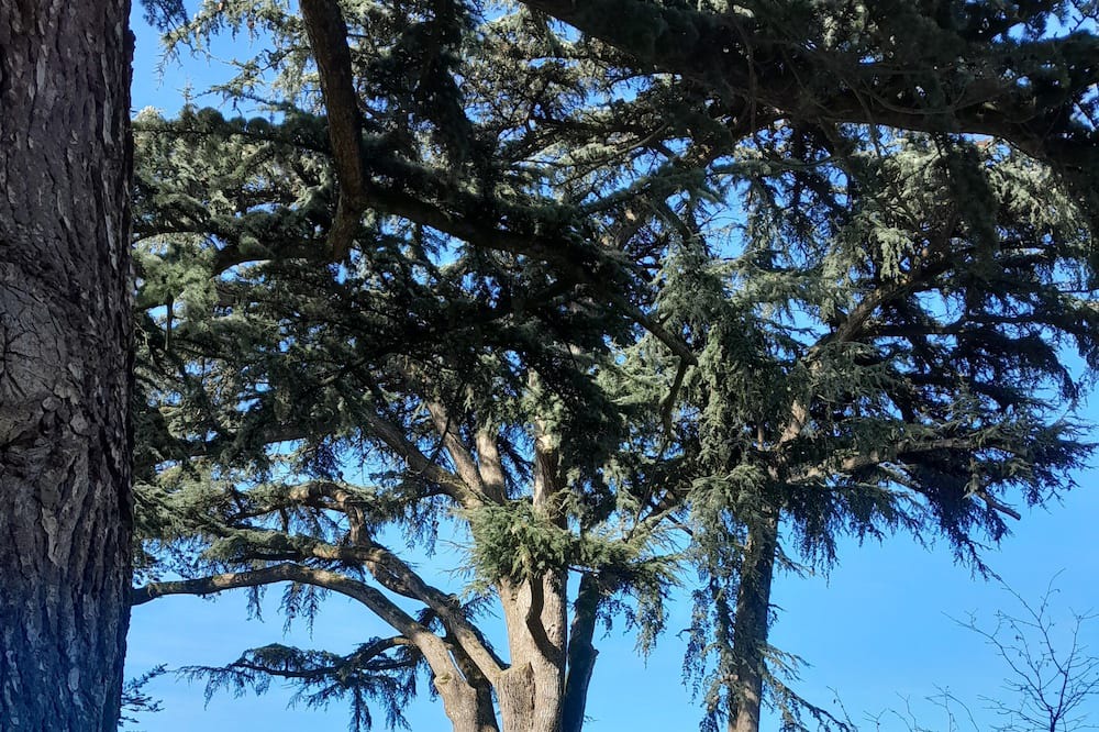 Photo of Outdoor in Montjean-sur-Loire