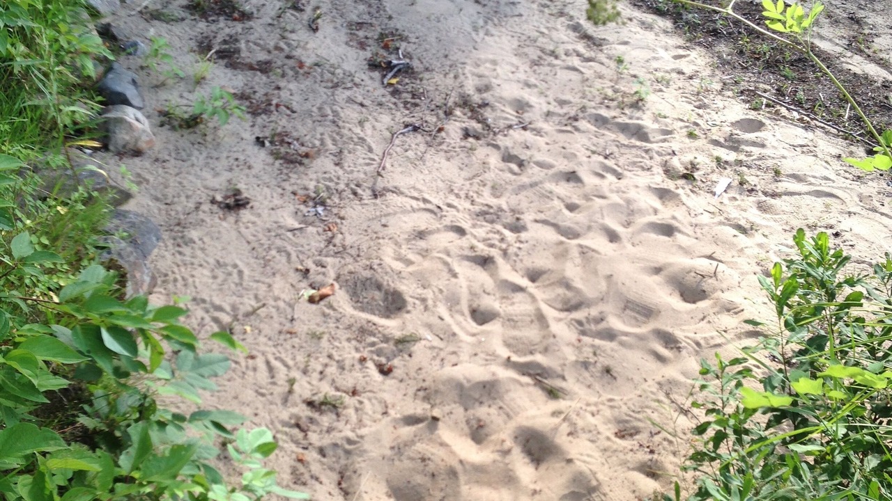 Photo of Outdoor in Novar