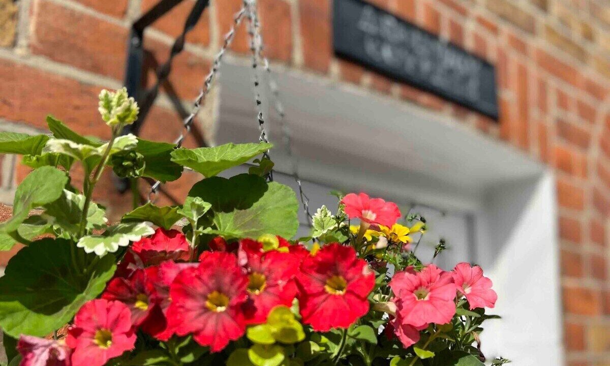 Photo of Others in Windsor