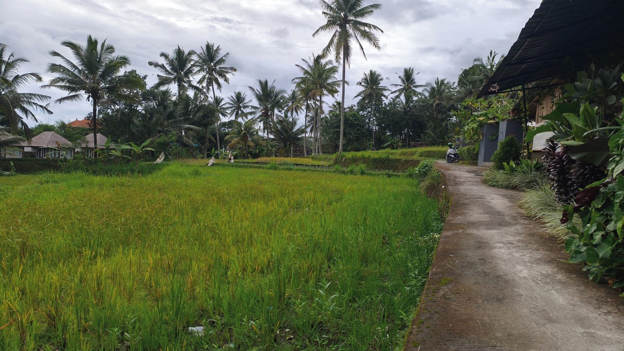 Photo of Outdoor in Melayang
