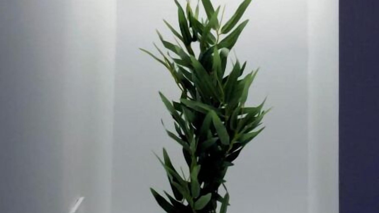 Photo of Others in Etampes