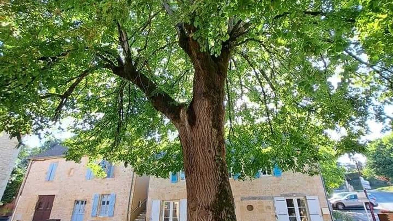 Photo of Outdoor in Payrignac