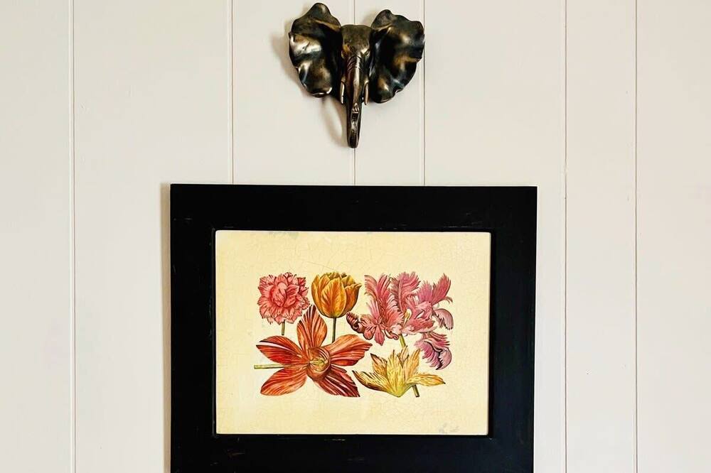 Photo of Others in Forest Hills