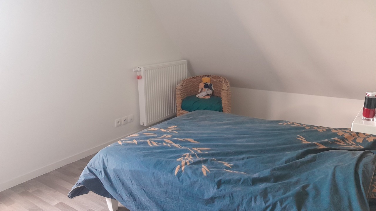 Photo of Others in La Chabossiere