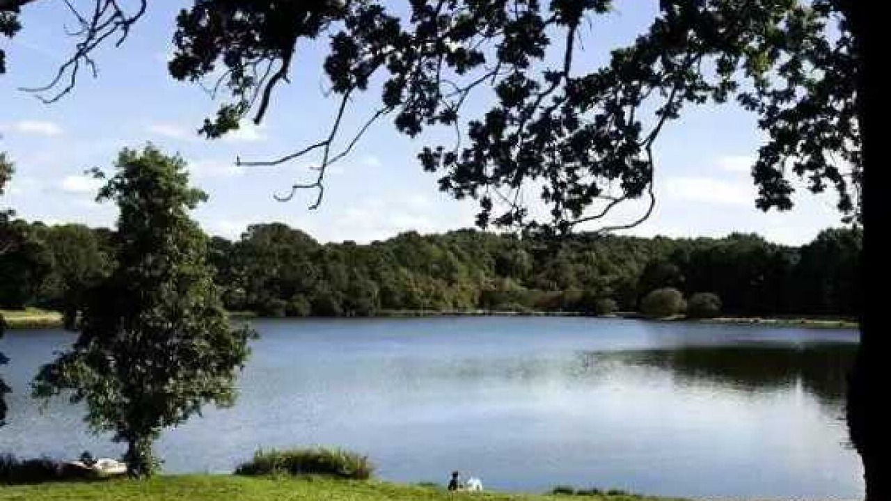 Photo of Others in Malansac