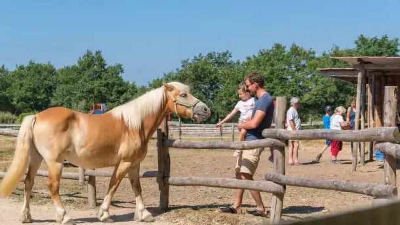 Photo of Others in Saint-Julien-des-Landes