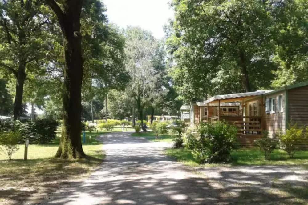 Photo of Outdoor in Mesnard-la-Barotiere