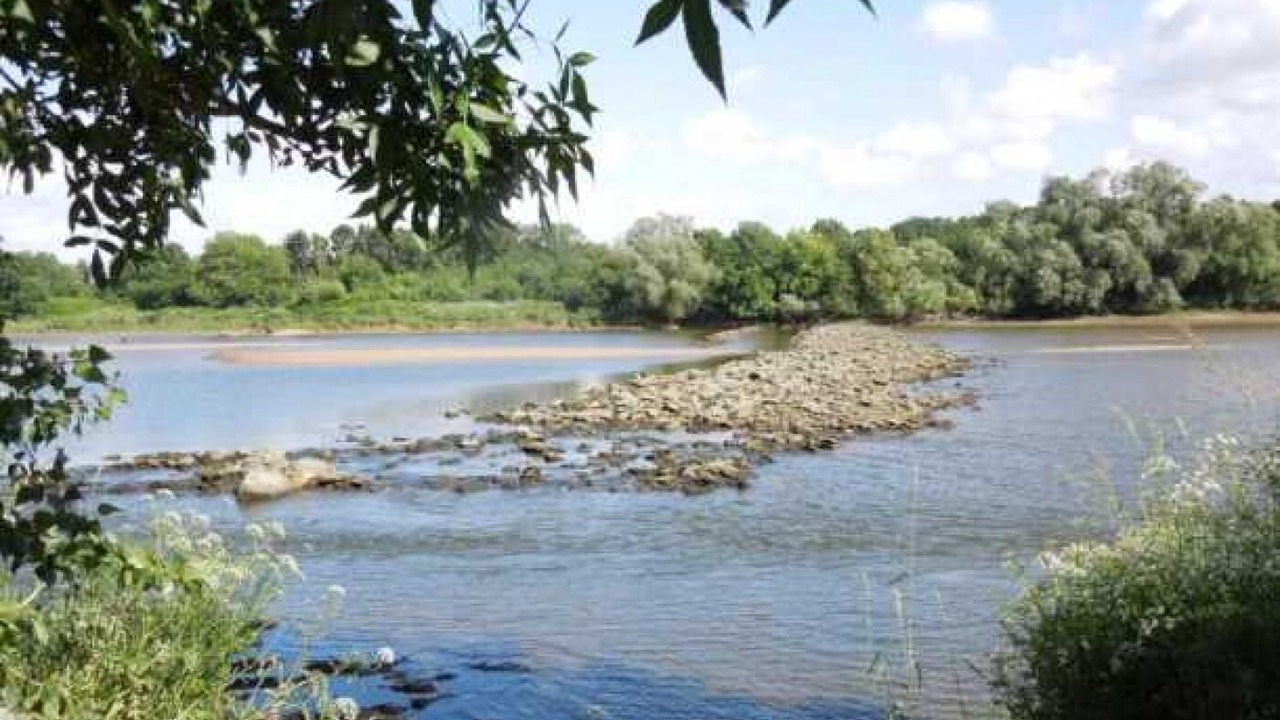 Photo of Others in Sainte-Luce-sur-Loire