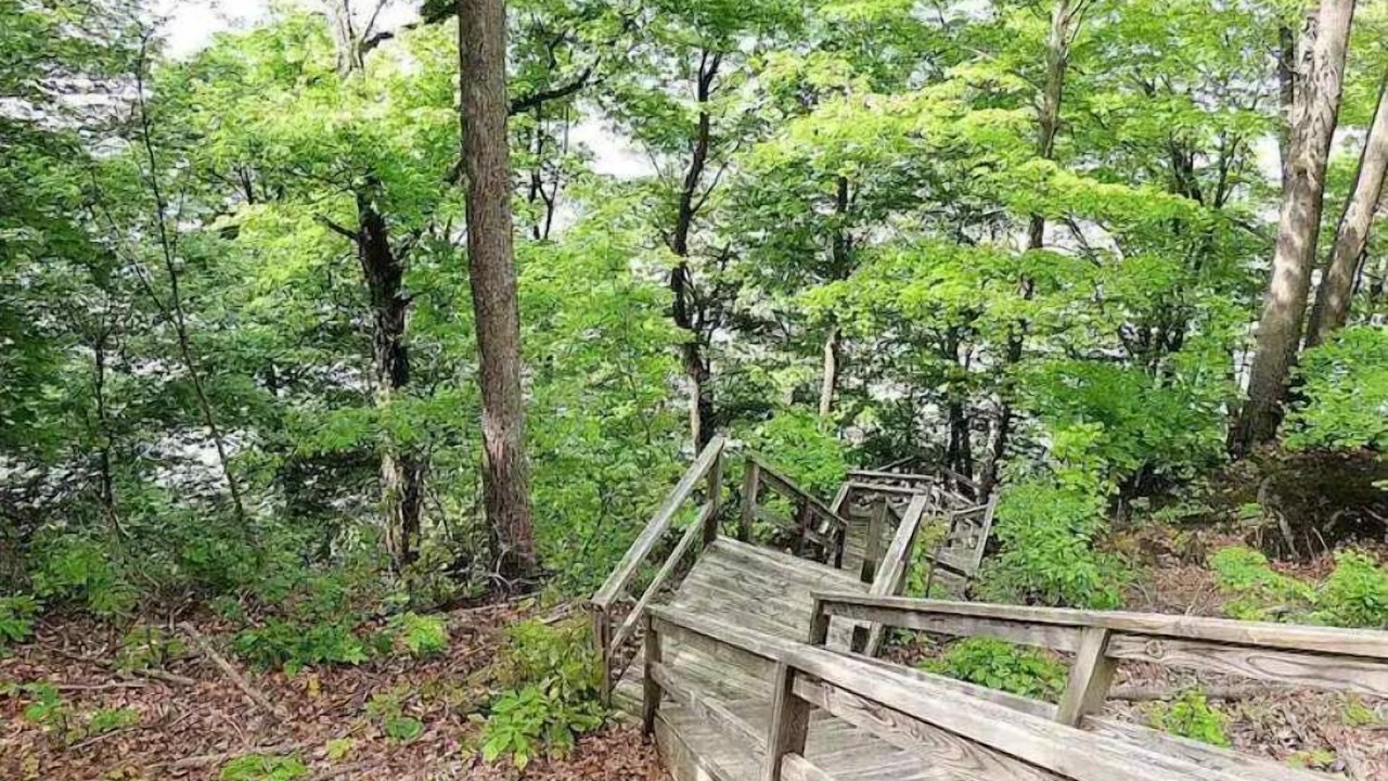 Photo of Outdoor in Lansing