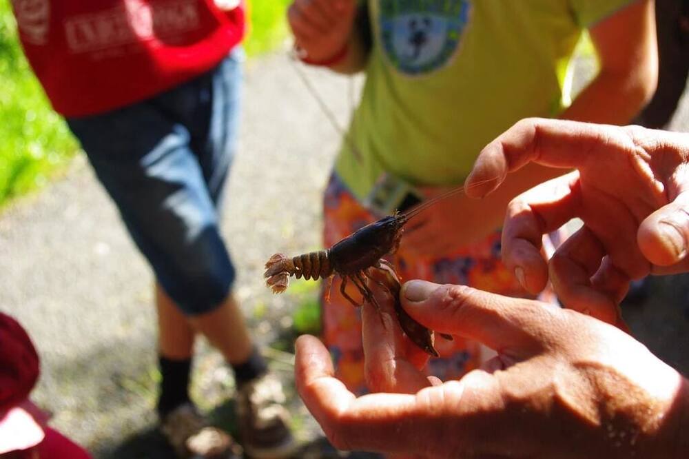 Photo of Others in Sainte-Fereole