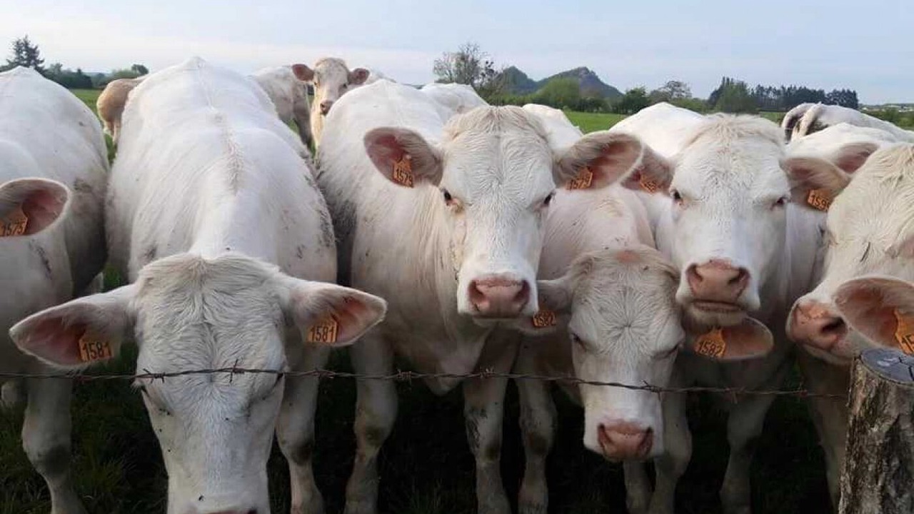 Photo of Others in Autun