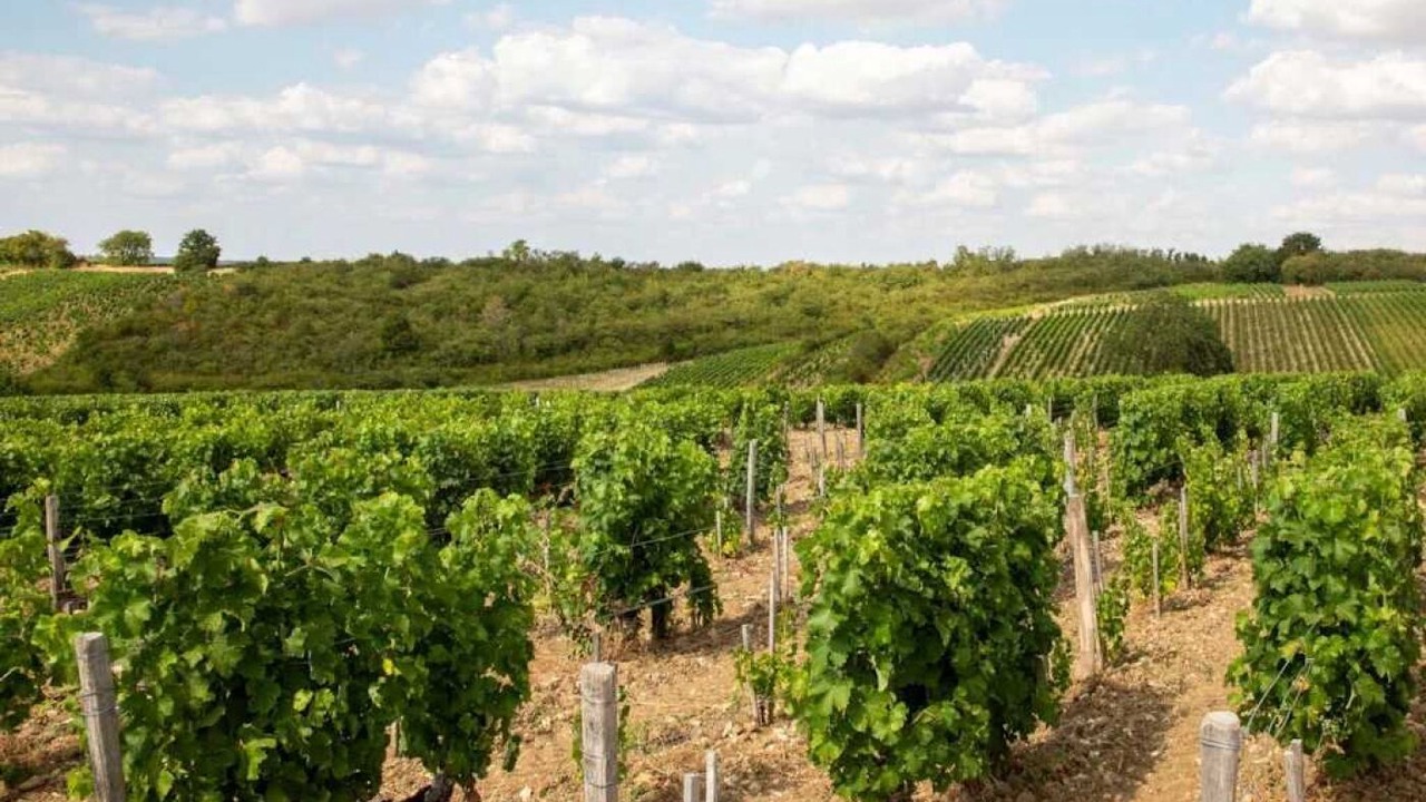 Photo of Others in Bannay