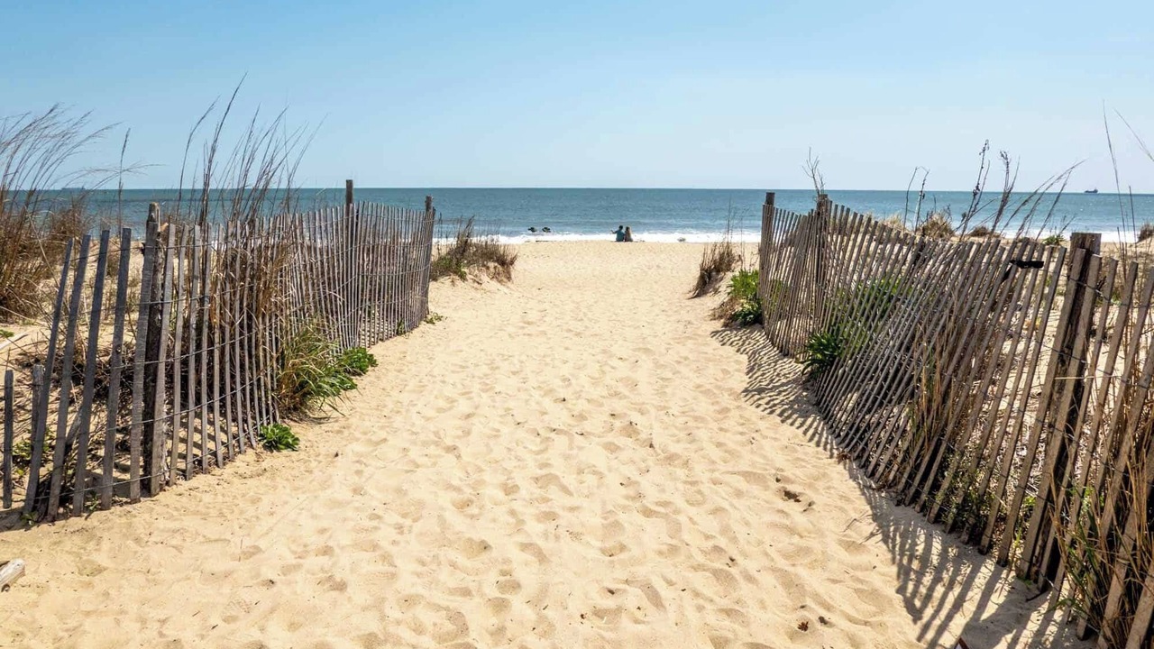 Photo of Others in Rehoboth Beach