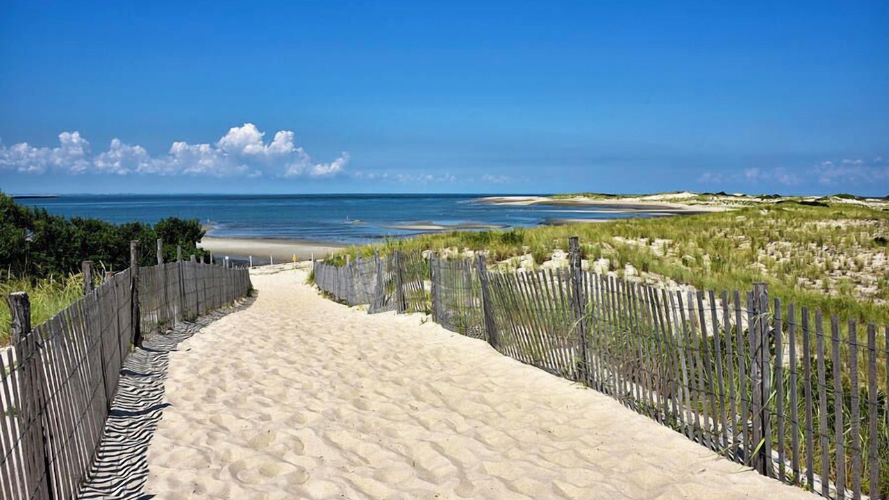 Photo of Others in Rehoboth Beach
