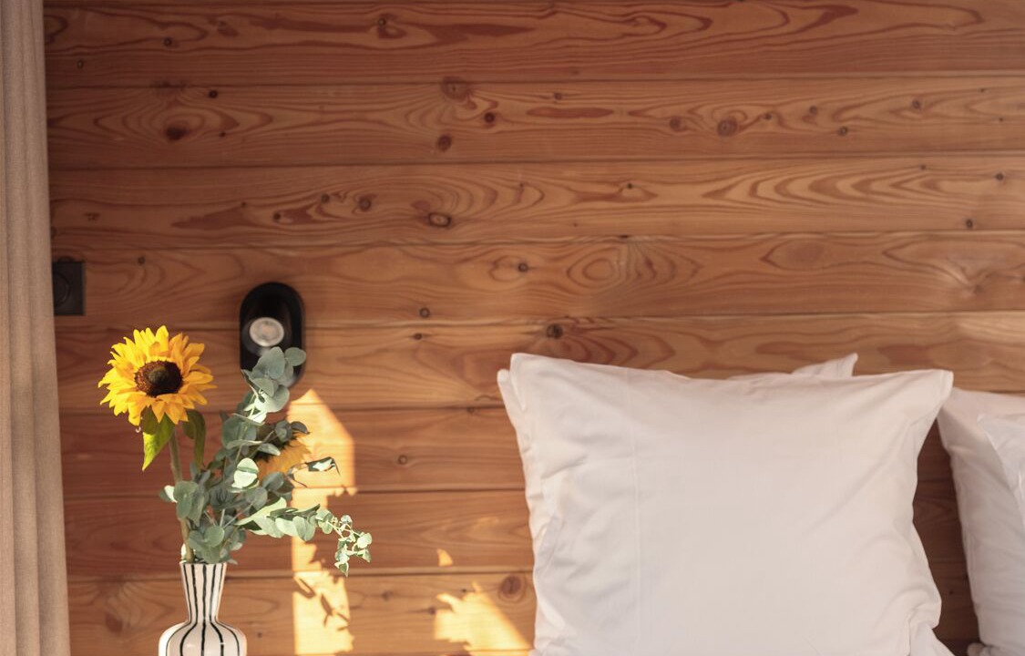 Photo of Outdoor in Notre-Dame