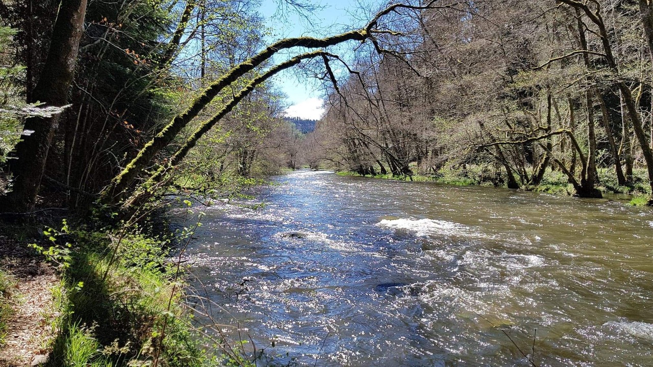 Photo of Others in Saint-Jacques-d'Ambur