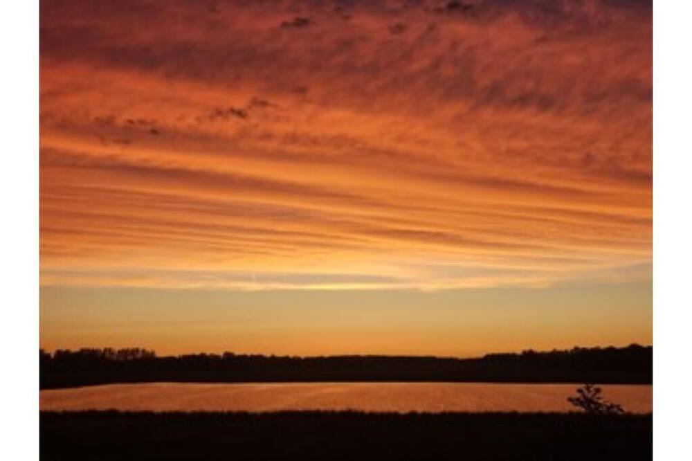 Photo of Others in Pelican Rapids
