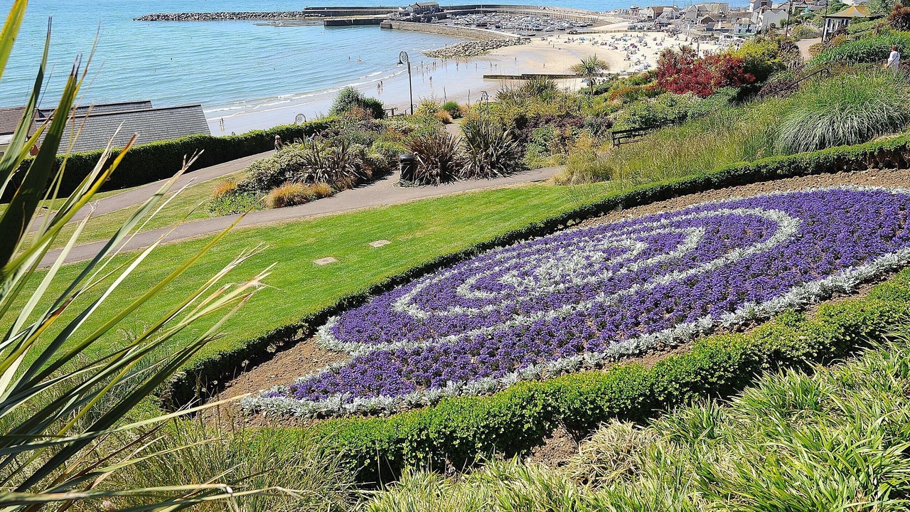 Photo of Others in Axminster