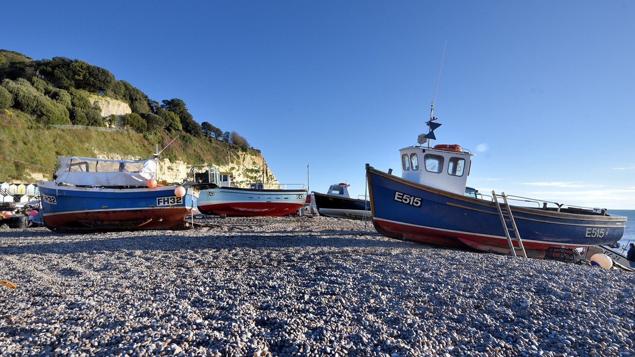 Photo of Others in Axminster