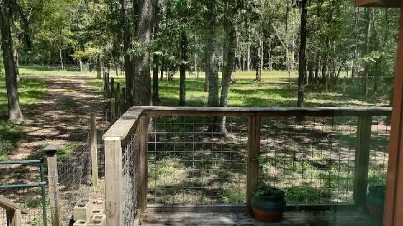 Photo of Outdoor in Votaw