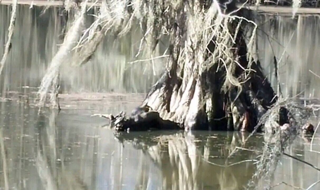 Photo of Others in Votaw