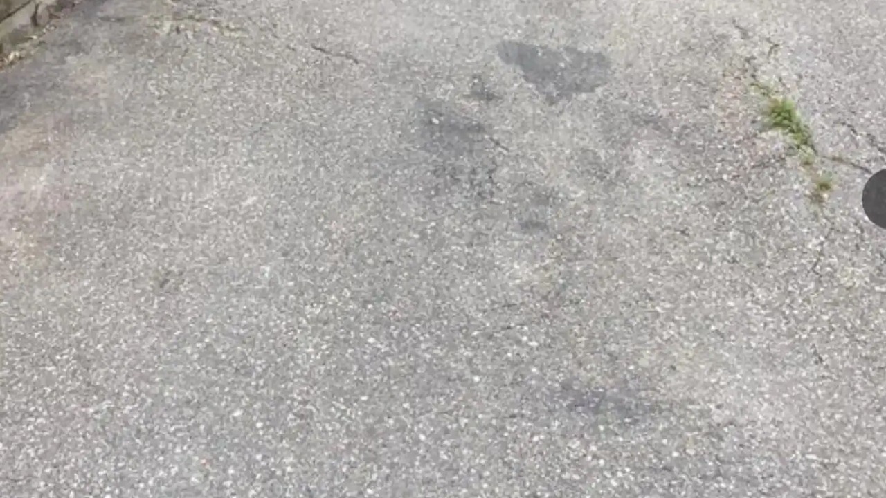 Photo of Outdoor in Corner Brook