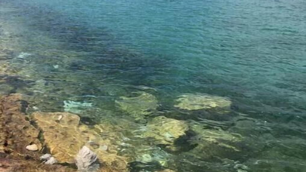 Photo of Others in South Bruce Peninsula