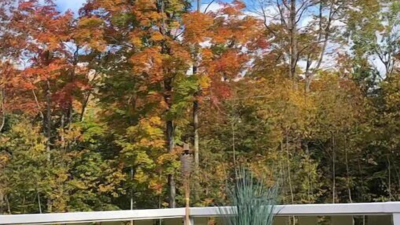 Photo of Outdoor in South Bruce Peninsula