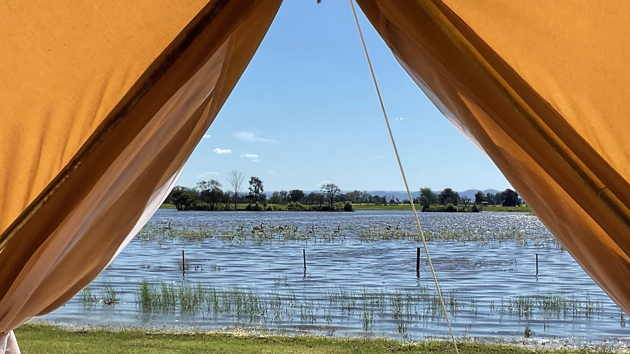 Photo of Outdoor in Pitt Town