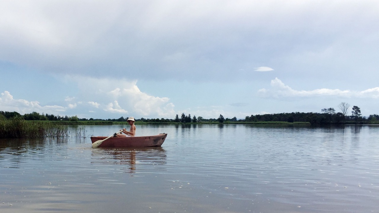 Photo of Others in Pitt Town