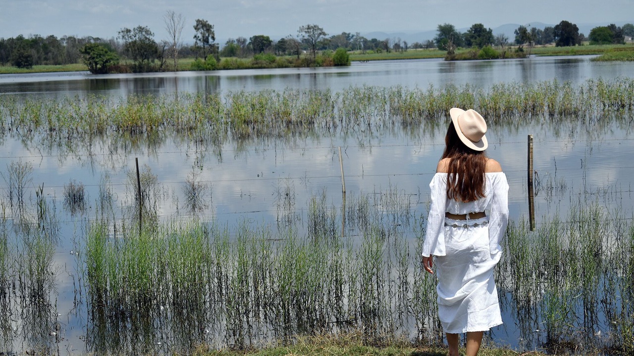 Photo of Others in Pitt Town