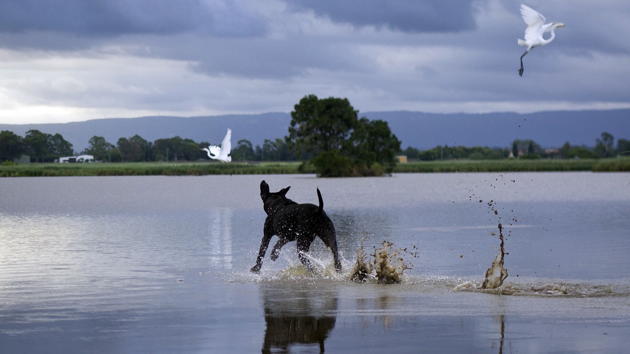 Photo of Outdoor in Pitt Town