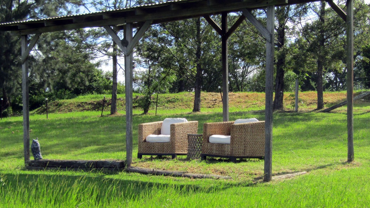 Photo of Outdoor in Pitt Town