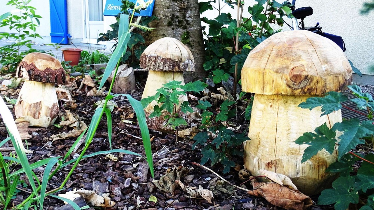 Photo of Outdoor in Aumontzey