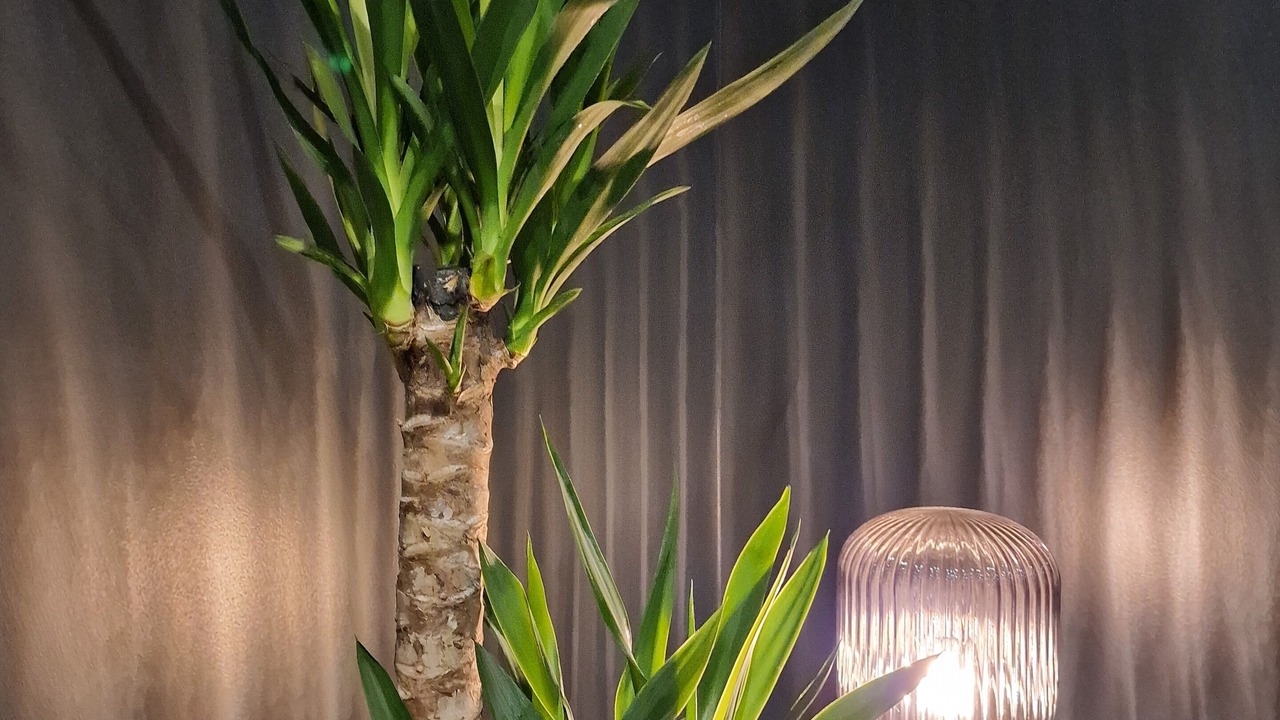 Photo of Others in Calonne-Ricouart