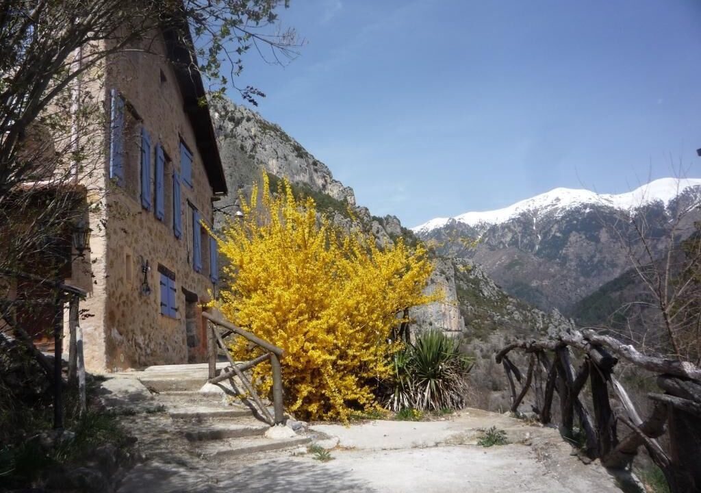 Photo of Others in Roquebilliere
